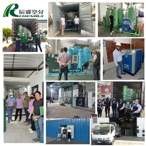 CHENRUI PSA Pressure Swing Adsorption Nitrogen Maker Nitrogen Generator Compressor Nitrogen Generator