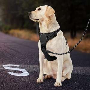 Arnés Reversible para perros de pecho de doble cara, malla de impresión de poliéster personalizada, arnés táctico para mascotas, <span class=keywords><strong>Collar</strong></span> y Correa, bolsa para caca, Bandana - Product Image 1