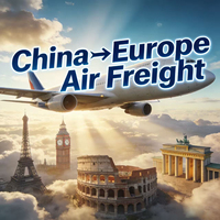 Envío Aéreo DDP de Shenzhen a Alemania Puerta a Puerta, Envío Exprés de 9-15 Días con Seguro y Soporte 24/7