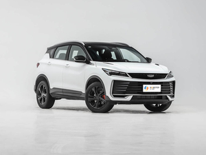 Geely Coolray Binyue 1.5T DCT Champion 5 posti Benzina SUV 2026 con Garanzia Americana Emissioni Euro VI Cambio Automatico R17 - Product Image 2