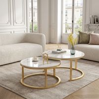 Table basse moderne minimaliste de luxe en fer forgé pour le salon, avec garantie d'un an