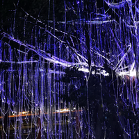 Éclairage professionnel Rideau d'eau Arbre Avatar Lumières à fibres optiques LED pour extérieur, jardin, parc