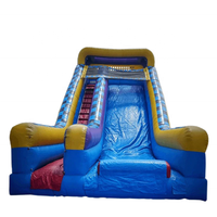 Bon marché prix adulte jeu grand gonflable sec toboggans location de fête utilisant pour les enfants et les adultes