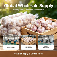 Fournisseurs chinois, vente en gros, export, nouvelle saison, ail frais en vrac, ail pelé avec emballage personnalisé