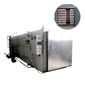 Équipement de stérilisation de sac de substrat de grande capacité Autoclave cubique à double porte pour la culture de champignons - Product Image 2