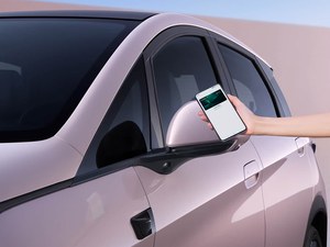 Acquista Auto Usata BYD Dolphin 2025 Edizione Smart Drive 520km Edizione Knight, Auto Usate Economiche dalla Cina - Product Image 4