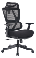 Chaise de bureau ergonomique extensible en maille, design moderne, fonction massage, structure en nylon, mouvement basculant, tissu confortable