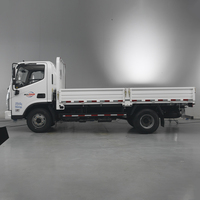 Camion léger FOTON Aumark-E, camion de fret sec à plateau, 3 tonnes, Euro 2, diesel, 116 CV, 5 vitesses manuelles, Cummins