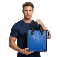 Bolsas Térmicas Reutilizables con Relieve de Puntos, Forro de Papel de Aluminio, para Alimentos, Compras y Uso Promocional
