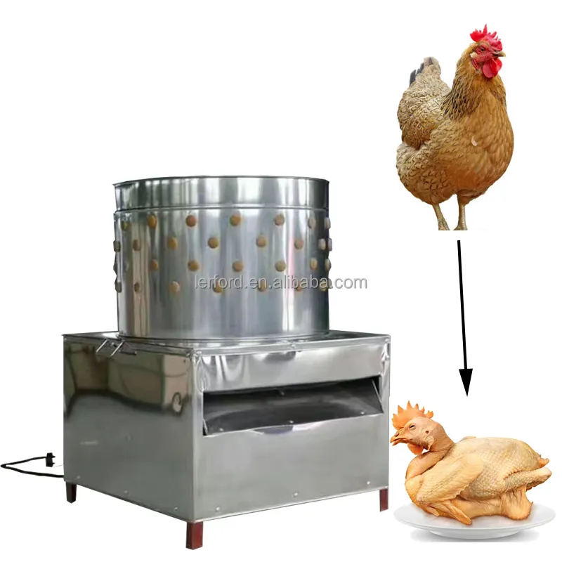 Desplumadora de pollo de acero inoxidable barata, multifuncional, automática, pequeña, nueva, comercial/industrial