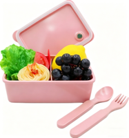 Kleine, ecovriendelijke, biologisch afbreekbare rechthoekige rijstschil fruitdoos voor afhaalmaaltijden, school- en kampeerlunches