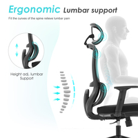 Chaise de bureau ergonomique réglable en hauteur avec support lombaire et coussin en mousse à mémoire de forme – Fabricant de chaises de bureau économiques