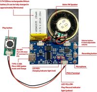 Módulo de 16MB Cable tipo C Grabación fácil 16 minutos Saludos personalizados Botón azul Altavoz de sonido activado para bricolaje