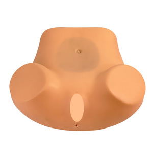 Modèle de formation gynécologique ; Modèle d'examen gynécologique interne pour femmes ; Modèle de formation maternelle et infantile ; Modèle utérin - Product Image 1