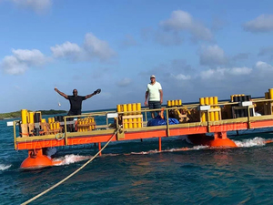 Single Shots <strong>Shells</strong> Display <strong>Fireworks</strong> <strong>3</strong>" Fiberglass Mortar Tube - Product Image 6