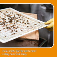 Neues Kunststoff-Königinnenabsperrgitter für Bienenstöcke, weiß/gelb, 3 Monate Garantie für italienische und chinesische Bienen zur Königinnentrennung