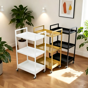 2026 Hot Selling Wholesale Iron Hair Beauty Salon <b>Trolley</b> Modern Multi-layer Mobile Rolling Beauty Cart for Warehouse Use - Product Image 6