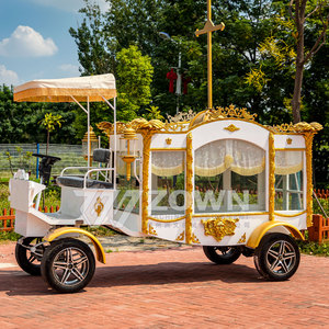 ZOWN Индивидуальный новый электрический ритуальный катафалк, ритуальные принадлежности, ритуальный катафалк с лошадиной тягой, специальный транспортный фургон - Product Image 2