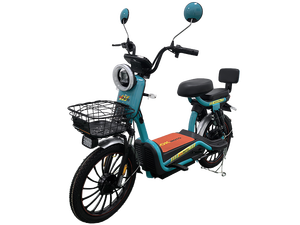 ชุดมอเตอร์คู่สำหรับจักรยานไฟฟ้า Ecotric 36V รับรองคุณภาพ ราคาประหยัด จักรยานไฟฟ้าสามล้อ 250W สำหรับปั่นบนทางเรียบและทางลูกรัง รุ่น EU 20 - Product Image 6