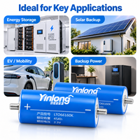 Sel Baterai Lithium Titanate Yinlong LTO Kelas A AS 2.3V 45Ah, Suhu Lebar -50~65 ° C untuk Daya Cadangan Audio Mobil OEM ODM