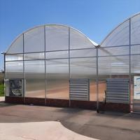 Serre agricole hydroponique pour tomates, à grande capacité, à faible coût, en feuilles de PC, à plusieurs travées, en forme d'arche, de type tunnel, longueur personnalisable