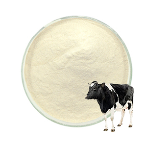 Bactéries probiotiques additifs probiotiques poudre bacillus coagulans pour crevettes - Product Image 4