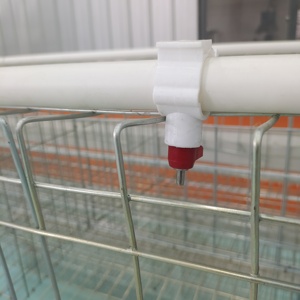 Haute qualité 3/4 niveaux 4 portes couche poulet Cage un Type batterie Cages oeufs pondeuses poules à vendre élevage de volaille - Product Image 5