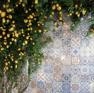 Rami artificiali FL-202 di limone singolo gambo di limone rami di albero per giardino all'aperto decorazione di nozze - Product Image 6