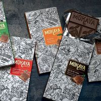 Carton d'emballage de barre de chocolat champignon personnalisé de luxe de haute qualité avec motif imprimé pour emballage de chocolat