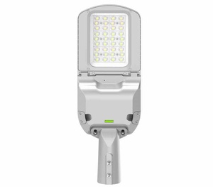 Lampadaire moderne urbain à LED 80W, luminaire d'extérieur asymétrique étanche IP66 de Naples avec alimentation CA - Product Image 1