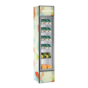 <span class=keywords><strong>Congelador</strong></span> <span class=keywords><strong>Vertical</strong></span> de puerta de vidrio, escaparate Delgado en venta - Product Image 2