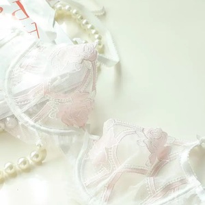 Conjunto de lencería sexy de talla grande con bordado de encaje de 2 piezas (sujetador y bragas) para mujer, conjunto de lencería transparente de malla al por mayor - Product Image 3