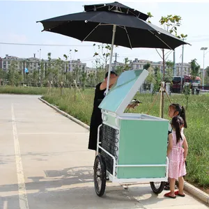 3轮自行车带冰淇淋冰箱冰淇淋摩托车待售电动卧式三轮车带前208L冰柜