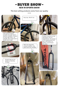 Horquilla Rígida para Bicicleta de Montaña TOSEEK, de Carbono Resistente, 26/27.5/29 Pulgadas, 9*100mm, Liberación Rápida, Freno de Disco, Repuesto para MTB - Product Image 2