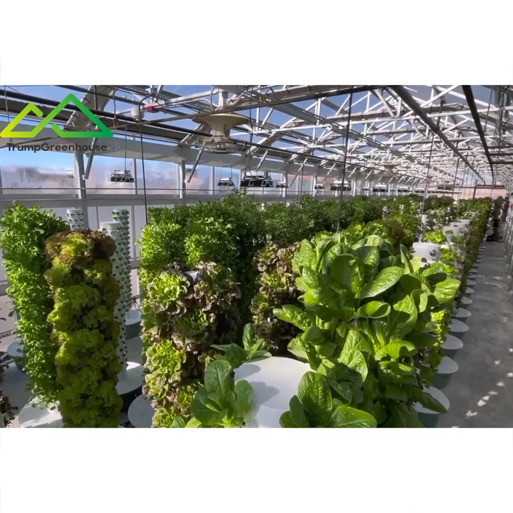 Indoor Greenhouse Hydroponics Equipment Vertical Farming Vegetable Agricultural Vertical Hydroponic System