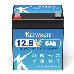 Harga pabrik untuk 12v 6Ah 10Ah 12Ah 20Ah 25Ah 30Ah lifepo4 baterai penyimpanan energi dengan BMS Free OEM 12.8v 25Ah baterai LFP