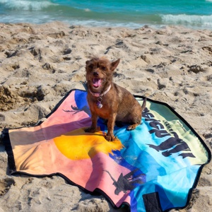 Albornoz de Secado Rápido para Perros, Envoltura Completa para Mascotas, Abrigo de Secado, Ropa de Microfibra Absorbente, <span class=keywords><strong>Toalla</strong></span> de <span class=keywords><strong>Playa</strong></span> sin Arena para Perros y Gatos - Product Image 2