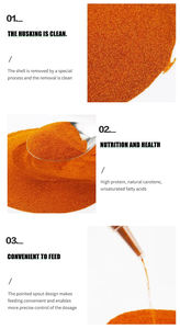 ביצי שרימפס מלח מלח יבש באיכות גבוהה ביצי שרימפס - Product Image 4