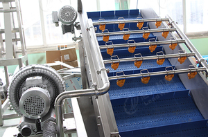 Leadworld – bulle automatique de haute qualité, 800kg, équipement de lavage de fruits <span class=keywords><strong>et</strong></span> légumes, abricot, ligne de Machine de nettoyage - Product Image 4