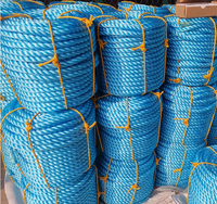 Cuerda de PE Trenzada de 12 mm a Precio Económico, Rollo de 100 m, Cuerda de Plástico Trenzada Multiusos Resistente para Agricultura y Uso en Exteriores