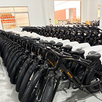 Vélo de montagne électrique à double transmission, pneus larges 26 pouces, batterie lithium 48V18Ah, freins à disque, moteur sans balais - Modèle de chasse