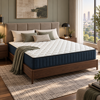 Matelas sous vide de 22 cm avec ressorts ensachés de 20 cm et tissu tricoté pour projets hôteliers, appartements et vente en gros de meubles