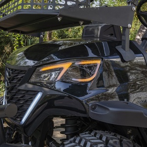 Carrito de golf elevado de lujo para caza, carrito de golf de litio de 48V 72V, nuevo buggy para adultos - Product Image 5