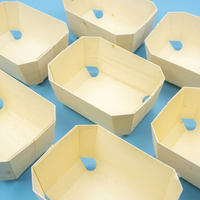 Conteneur alimentaire en bois de peuplier naturel, plaque de cuisson en bois biodégradable pour pâtisserie, gâteaux et pain