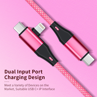 Nouveau Câble USB Magnétique 2-en-1 USB-C vers USB-C et USB-L PD100W à Rebond Automatique pour iPhone 13 14 15 16 Pro – Modèle 2026