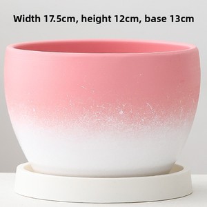 Pot <span class=keywords><strong>de</strong></span> fleurs en céramique pour tulipes, plumerias et succulentes - Grande taille <span class=keywords><strong>haut</strong></span> <span class=keywords><strong>de</strong></span> <span class=keywords><strong>gamme</strong></span> avec plateau - Offre spéciale liquidation - Product Image 5