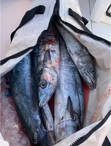 Bolsa enfriadora de pescado más grande con aislamiento de engranaje de búfalo 72*30 pulgadas pesca a prueba de fugas mantener el hielo frío fresco Portátil Bolsa enfriadora de pescado personalizada