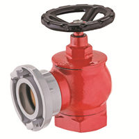 Pompe à eau rotative de haute qualité, 20 l, pour hydratant le feu