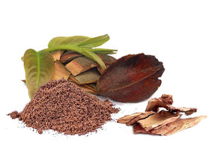 Extrait d'écorce d'Arjuna de qualité supérieure Ingrédient naturel à base de plantes provenant de l'arbre Terminalia Arjuna Idéal pour les boissons d'assaisonnement alimentaire - Product Image 2