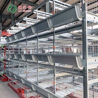 U-Best Nouvelles cages automatiques de type H pour poules pondeuses en acier galvanisé à chaud pour élevages avicoles